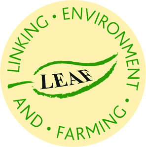 W F Moore - Leaf Marque Logo